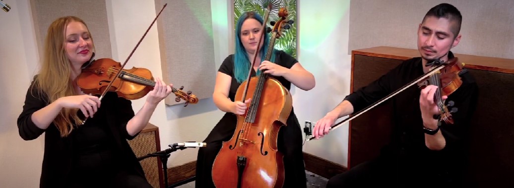 Lavender Strings performing live string music