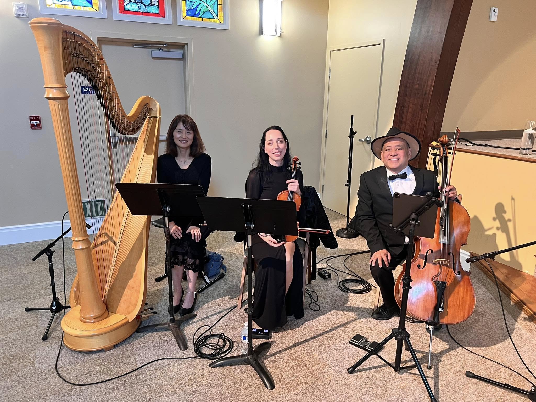 Ocdamia Music Group harp violin and cello ensemble for an elegant event