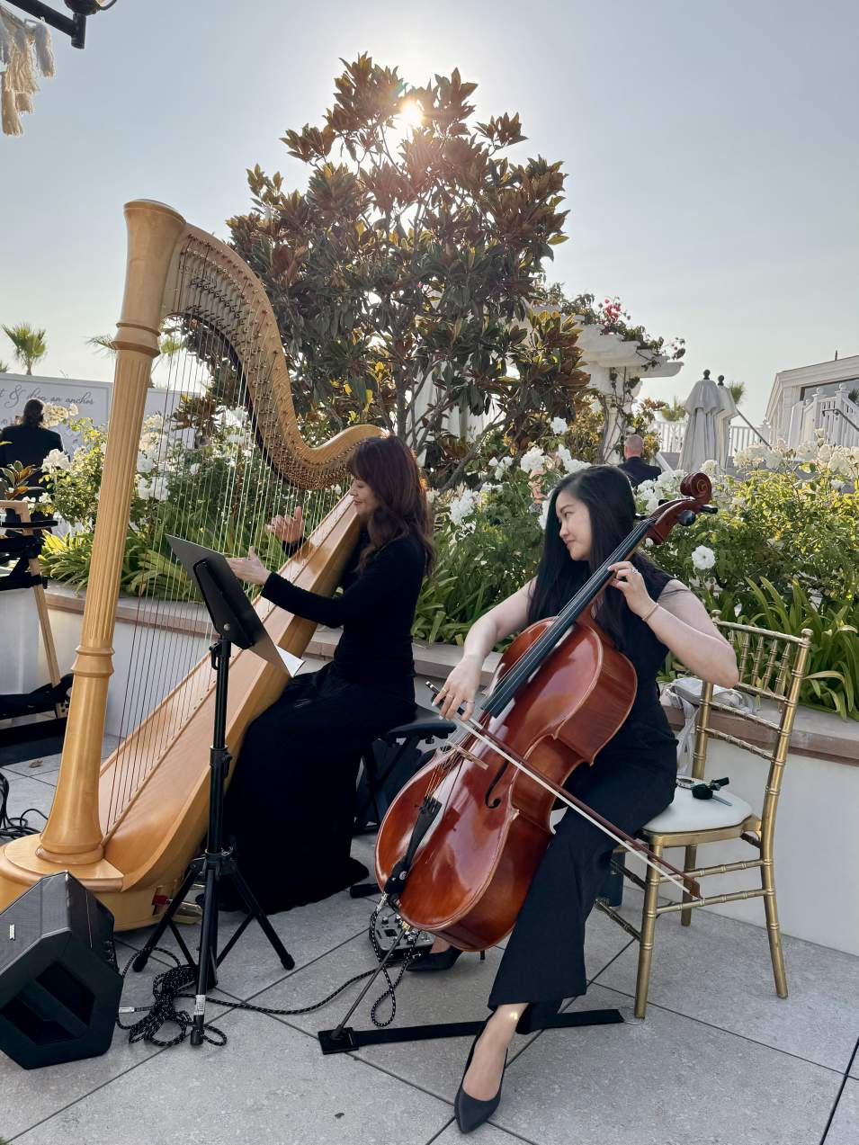 Tomoko playing live harp for a wedding or elegant private event