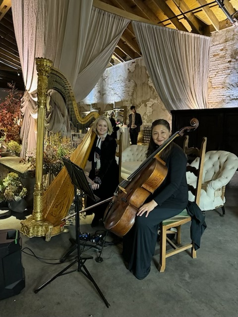 Cellist And Harpist Performing Together At An Indoor Event