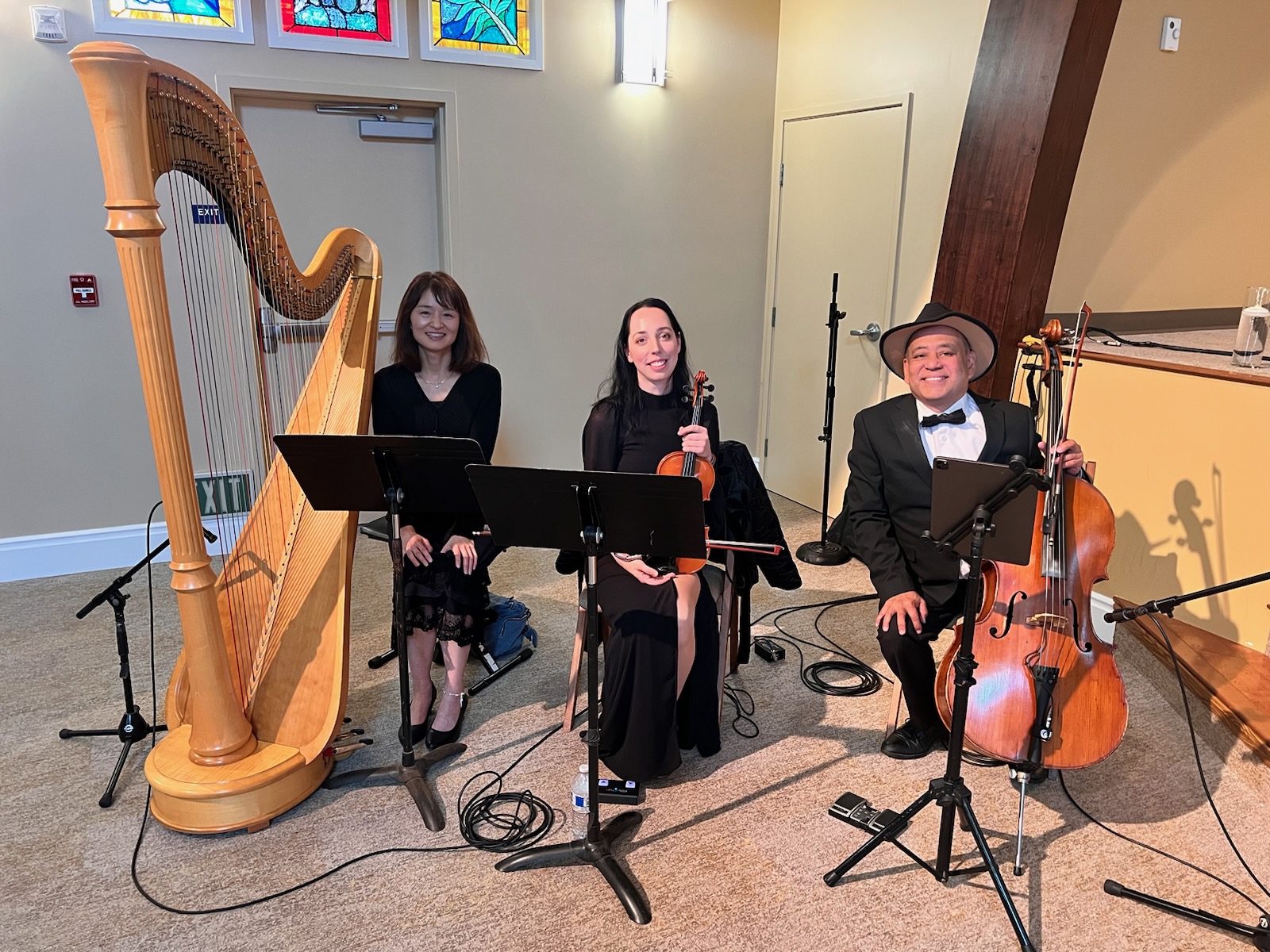 String Trio For Hire With Harp, Violin And Cello Performing Live