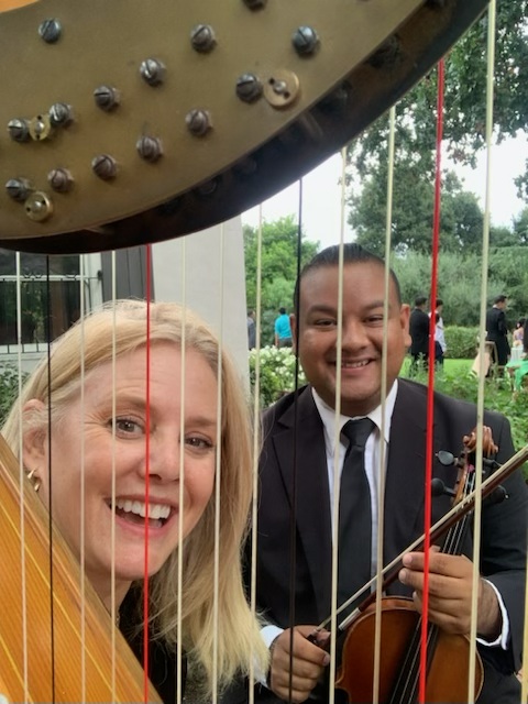 Harpist And Violinist From An Ocdamia Music Group Duo