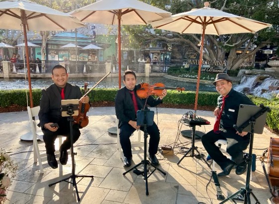 String Trio Performing At An Outdoor Event