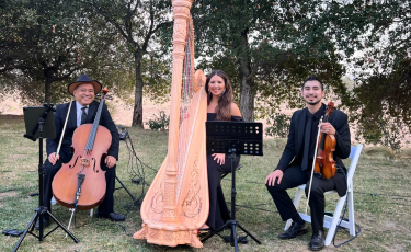 Harp, Cello & Violin Trio