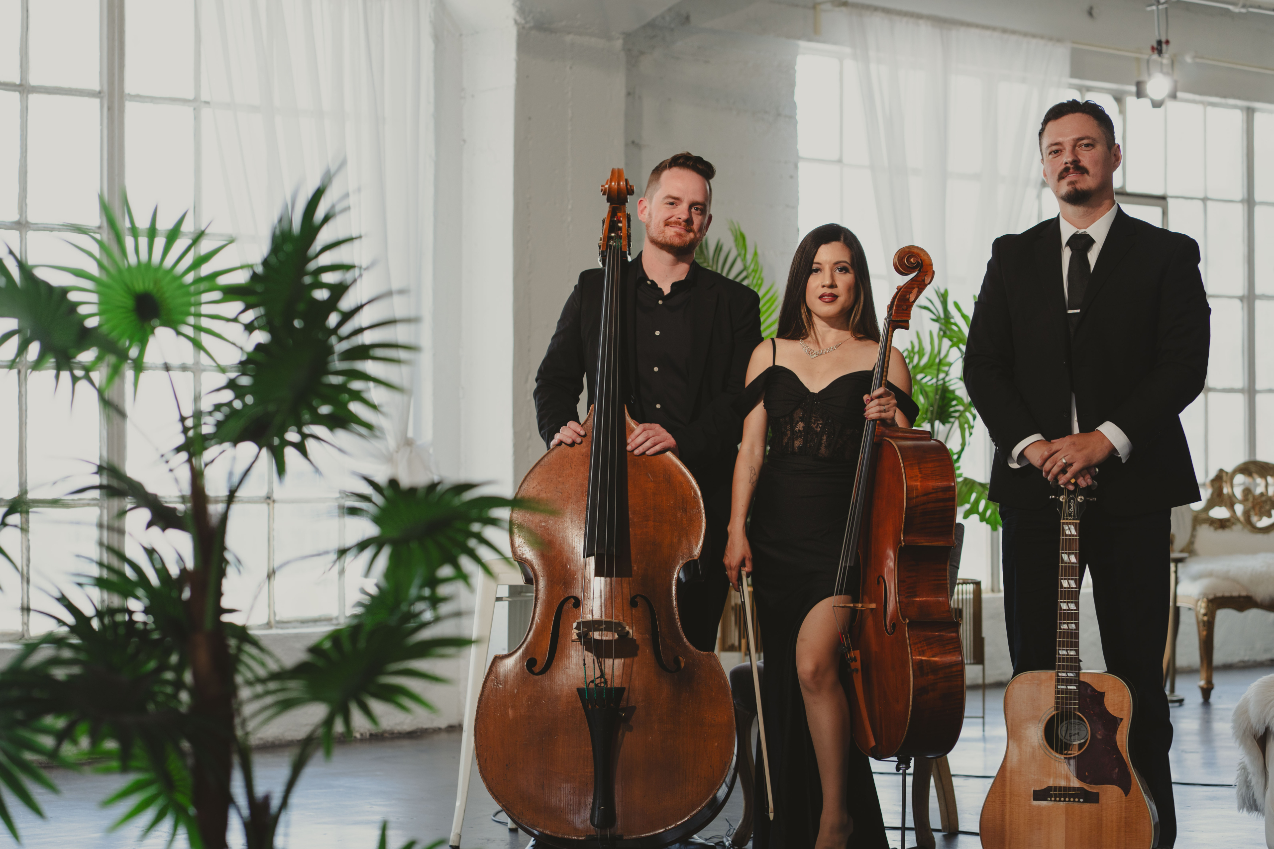 Soft Century Trio performing live music