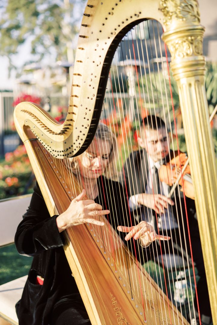 Peggy harpist performing at an elegant wedding setting